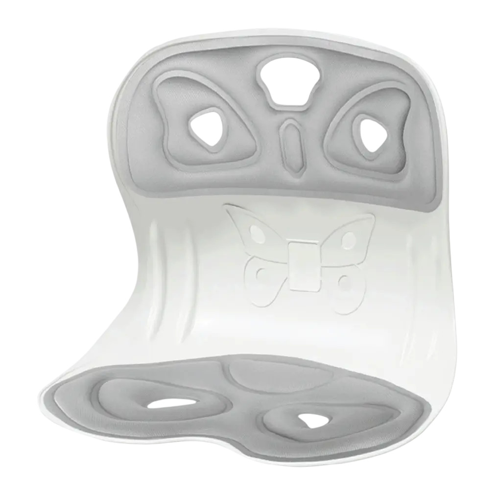 ErgoRelief Lumbar Support Cushion